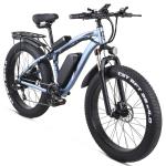 48V 1000W Motor Fat Tyre Electric Bicycles with 48V 17Ah Battery and Blue Screen