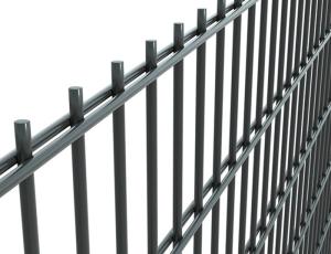 Quality 656 Double Wire Fence Twin Wire Fence wholesale