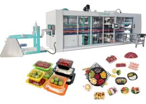 Quality Automatic Thermoforming Blister Machine Process Multi Station wholesale