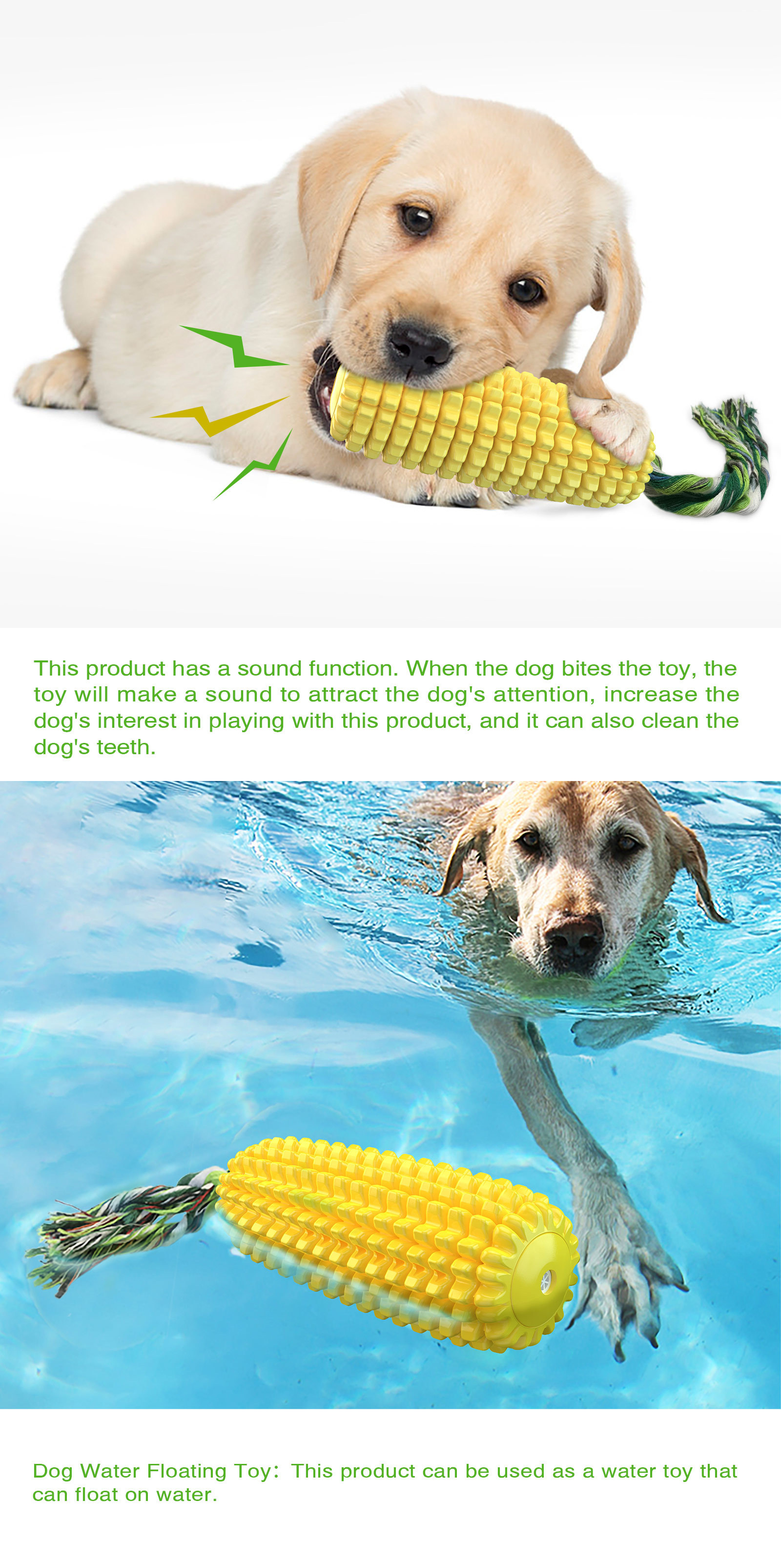 Toxic Free Squeaky Dog Toys TPR Chew Toys For Aggressive Chewers