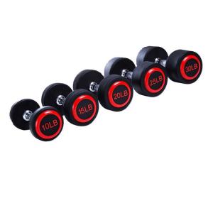 Quality Custom Logo Weightlifting Round Rubber Coatex Dumbbell wholesale
