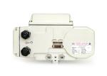 Compact Watertight DC24V IP68 Rotary Valve Actuator
