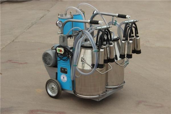 Cheap 9JYT-8 Twin Buckets and Piston Pump Electric motor-driven mobile cow milking machine for sale