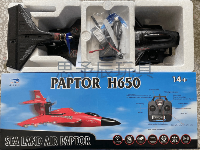 Electric Power Raptor H650 Long Range 2.4g Proportional Sea Land Air Led Aerobatics Stunt RC Glider with 6 Channels Control