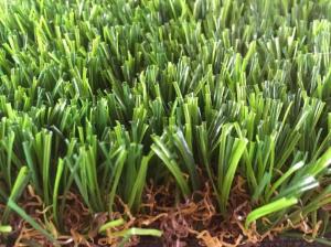 Quality Football pitch wholesale