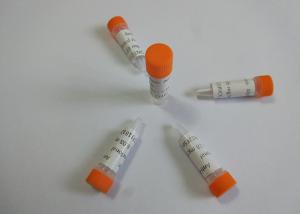 Quality Medical anti - Marijuana Mouse Hybridoma Monoclonal Antibody High Sensitivity wholesale