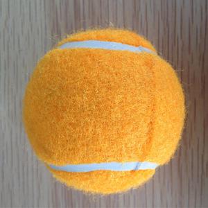 Quality pet outdoorpets training goodscarriers &amp; houses&quot; wholesale
