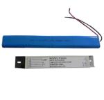 Professional Emergency Light Power Supply for Led Lighting