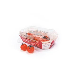 Quality Cherry Fruit And Vegetable Packaging Boxes , Folded Disposable Food Tray Boats wholesale