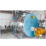 slaughterhouse Diesel Steam Boiler High Efficiecny For scalding machine For