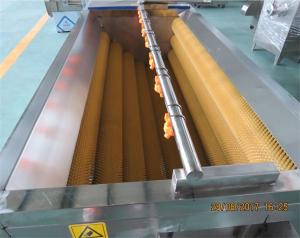 Quality Potato washing peeling machine, ginger cleaning machine, carrot washing machine wholesale