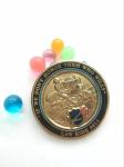 American Officers Amy Military Challenge Coin with gold plating