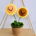 New Creative Luxury Handmade Crochet Knitting Plants Flowers Handicraft Home