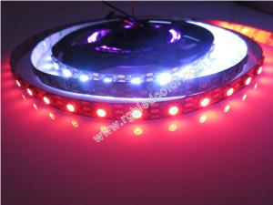 Quality ws2811/ws2812b black led strip wholesale
