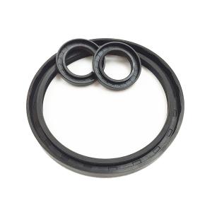 Quality 1TR Oil Seal Ring Composite Lip FKM FPM NBR CR PU Material wholesale