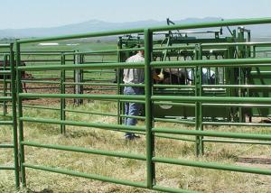 China portable pipe filled welded mesh Cattle Fence Gate on sale