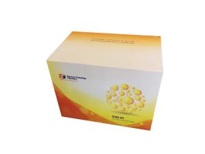 Quality 96 Wells Mouse High Specifibility and Precision DS-DNA Sandwich ELISA Kit wholesale