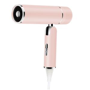 Quality DC Motor Plastic Lightweight Powerful Hairdryer With Less Frizz wholesale