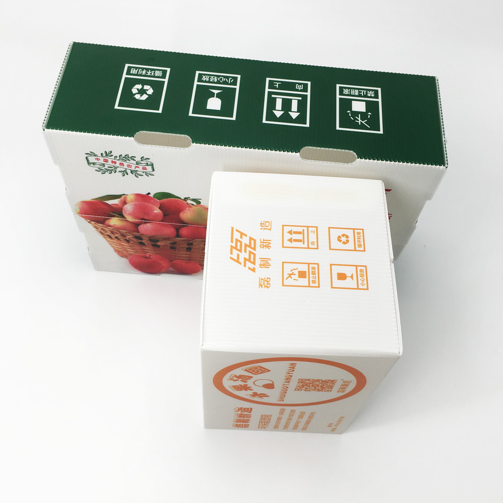 Stackable Plastic Corrugated Foldable Boxes Non Toxic Anti Rodent Eco Friendly