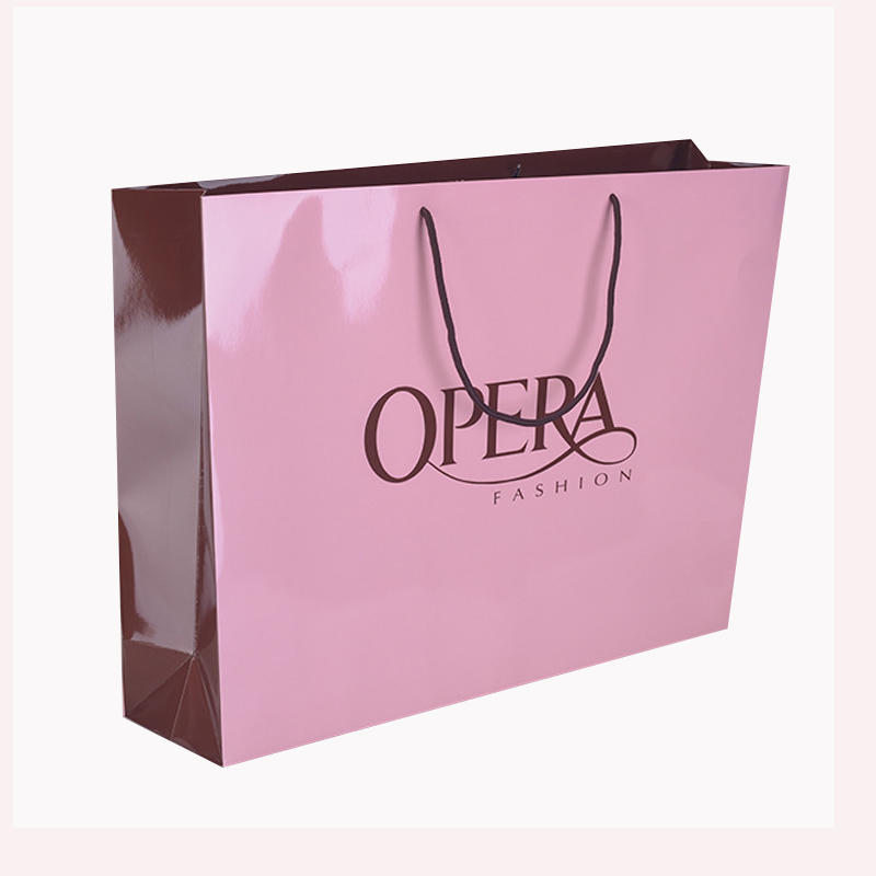 Custom Order Acceptable Luxury Logo Printed Shopping Bag for Beautiful Holiday Gift