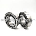 SL182209-A-XL-C3 INA Cylindrical roller bearings SL1822, semi-locating bearing,