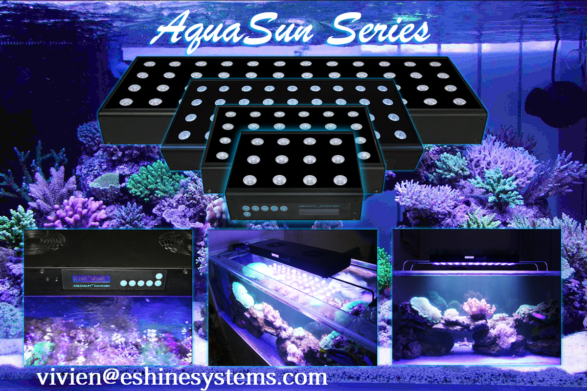 36W-120W watt led blue flood light aquarium lighting marine for fishing boat flood light