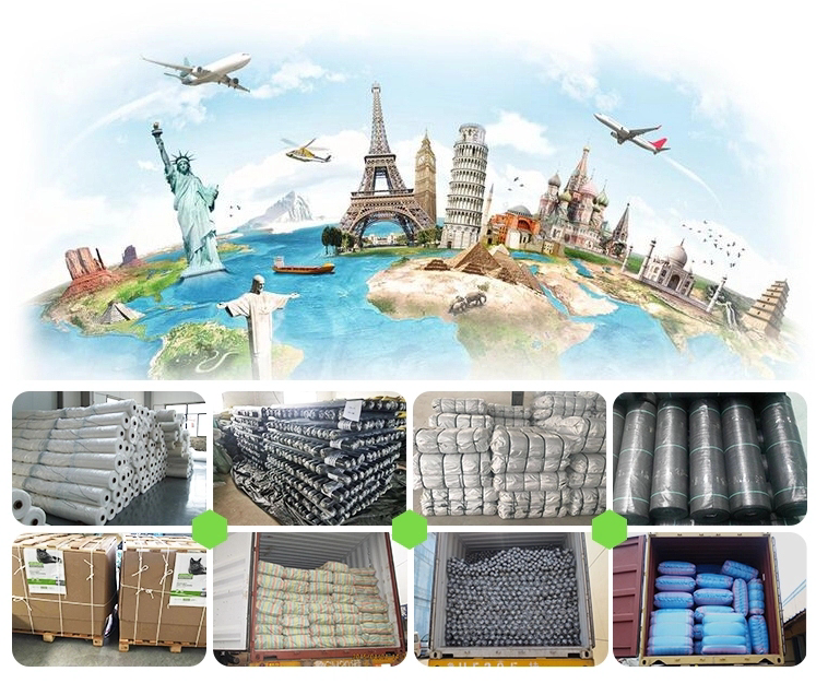 Drawstring Closure Virgin HDPE Plastic Monofilament Mesh Sack Customized for Onion