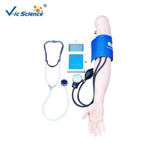 Quality Blood Pressure Training Medical Training Manikins Medical Science Patient Care Manikin wholesale