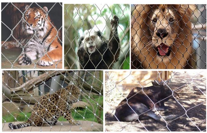 Stainless Steel Zoo Wire Mesh , Knitted Animal Enclosure Mesh Fence 0