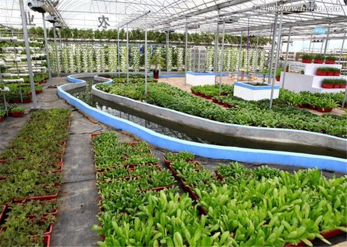 4m Bay Width Hydroponic Greenhouse Strong Ability To Resist Bad Weathers