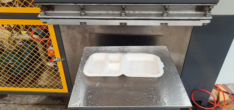Small Pulp Moulding Machinery Bagasse Molded Pulp Packaging Machinery