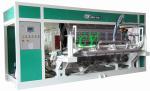 Electric Paper Fruit Tray Packaging Machine With Wooden Case