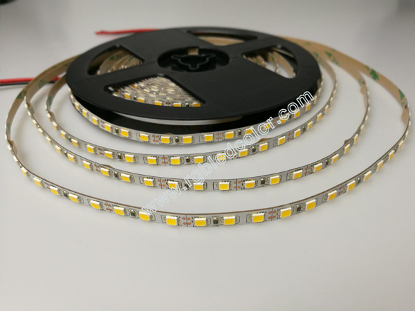 5mm pcb 2835 ww/nw/w high brightness led strips light 60led/m 14.4w
