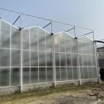 Agriculture Film Clear Polycarbonate Greenhouse Transparent Square Steel Frame