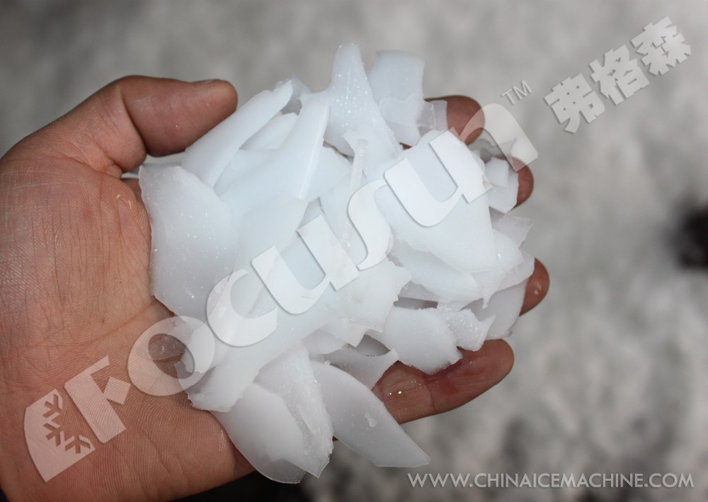 FOCUSUN 20 tons Flake Ice Making Machine for Large Ice Storage Capacity of 15000kg