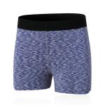 Elastic High Waistband Wicking Wholesale Women Running Sports Yoga Shorts