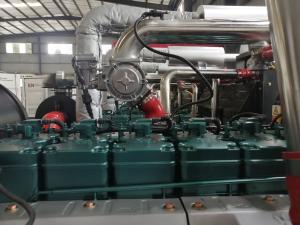 Quality 200KW LPG Gas Powered Generator CHP Generator Sets wholesale