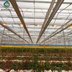 Flower Growing Steel Frame Greenhouse Wind Resistance Large Glass Greenhouse