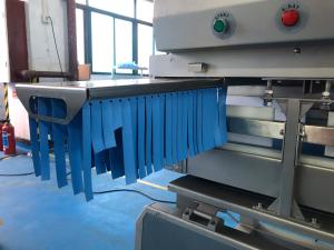 Quality 100KV Digital Metal Detector Food X Ray Machines Inspect Foreign Substance wholesale