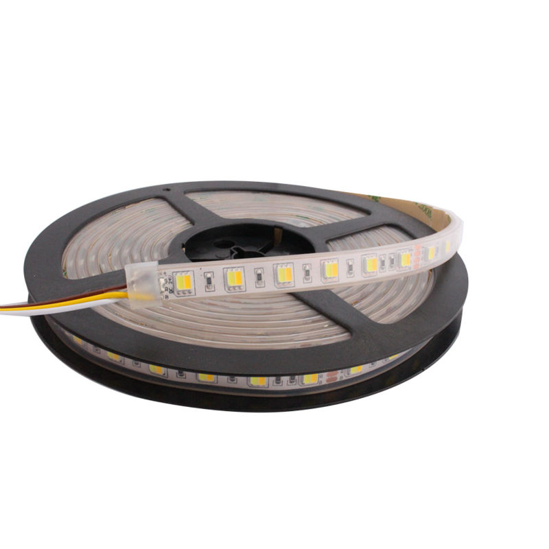WW CW Color Temperature Adjustable 24v Led Strip Lights Waterproof IP67 CCT Dimmable Led Tape Lights