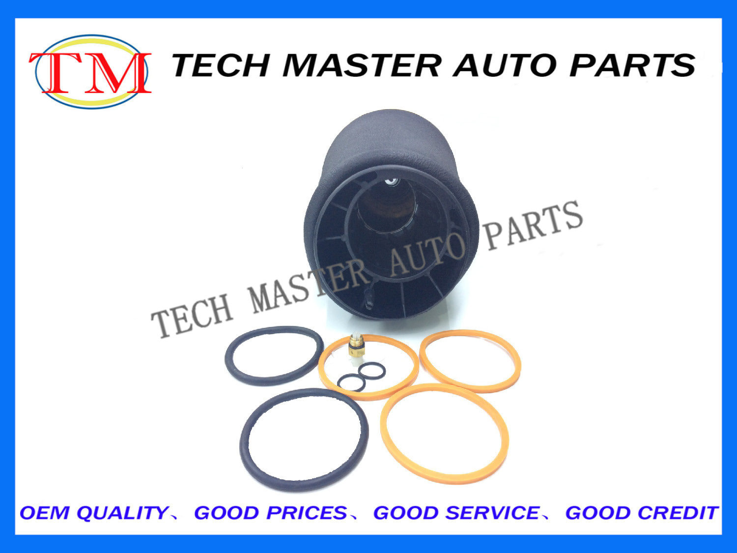 Land Rover Range Rover Air Suspension Parts Car Suspension Springs RNB501400