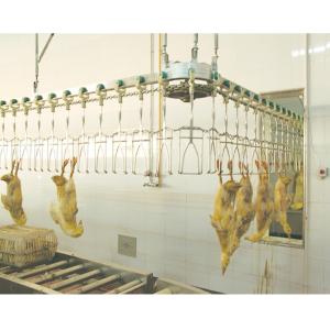 Quality 500BPH - 12000BPH Capacity Halal Goose Slaughter Equipment Customizable wholesale
