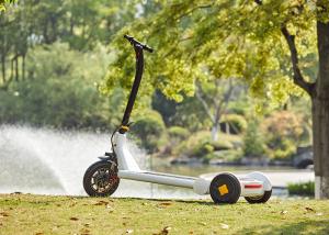 Quality Brushless Motor L1600mm Portable Folding Scooter wholesale