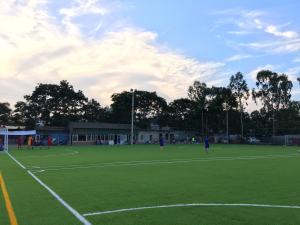 Quality Multi-Purpose Artificial Football Grass For Outdoor Soccer Field wholesale