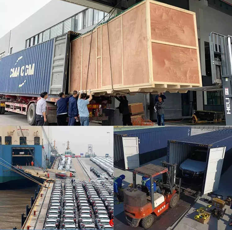 Max Speed 150km/h 2023 BYD Dolphin 405KM Freedom EV Car with Speed 0km and Battery Type Lithium Iron Phosphate Battery
