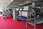 High Capacity Pastry Equipment , Industrial Bakery Lines For Twisted Cinnamon
