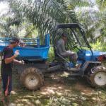 Hydraulic System Palm Oil Tractor for Agricultural palm oil plantations