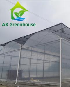 Quality 100micro 120micro 5 Layers Plastic Film Greenhouse Vegetable Farming wholesale
