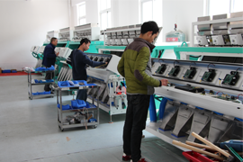 Mini Cashew Nut Sorting Machine For Cashew Nut Processing Industry