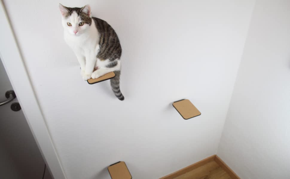 3mm Thickness Black Powder Coated Corner Steps Wall Mount Cat Bed for Multi-Cat Homes